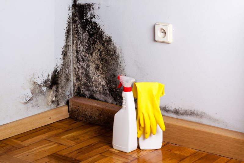 Black Mold Remediation in Broward County, FL