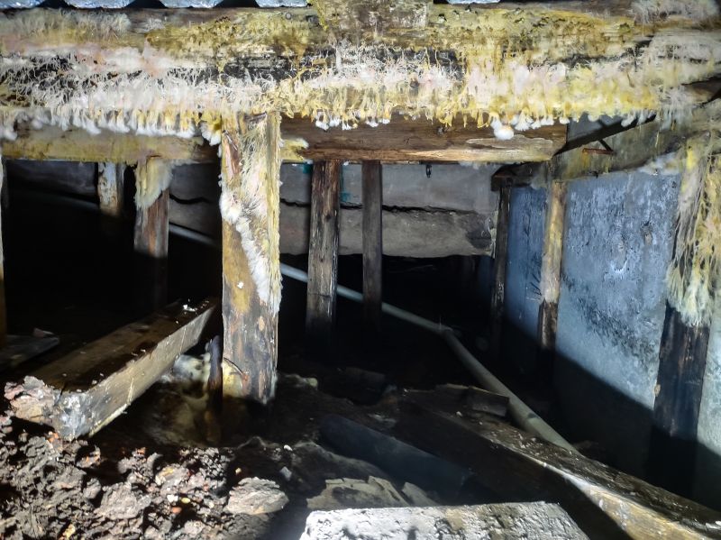 Crawlspace Mold Remediation in Bergen County, NJ