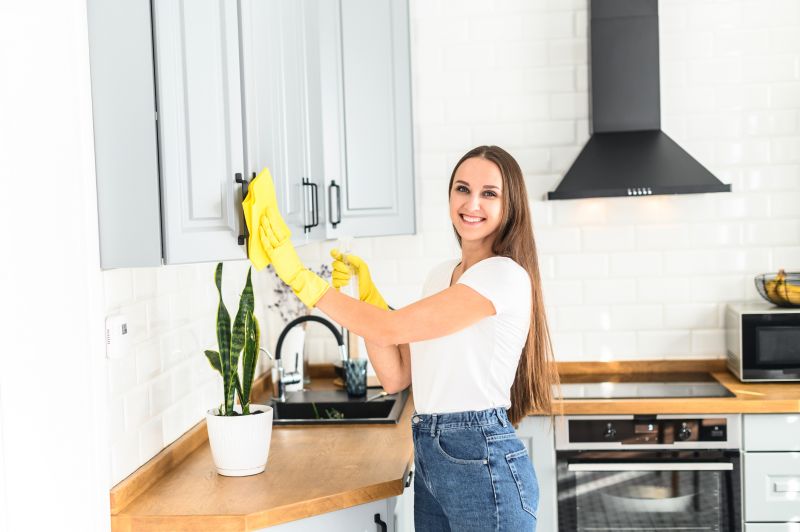 Kitchen Cleaning in Renton, WA