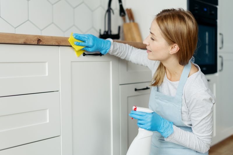Kitchen Cleaning in Conroe, TX