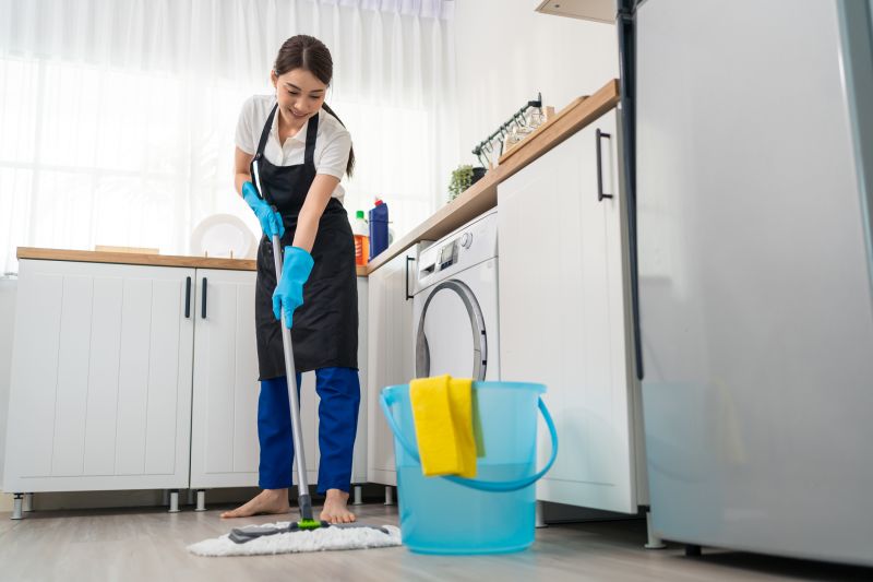 Kitchen Cleaning in Redmond, WA