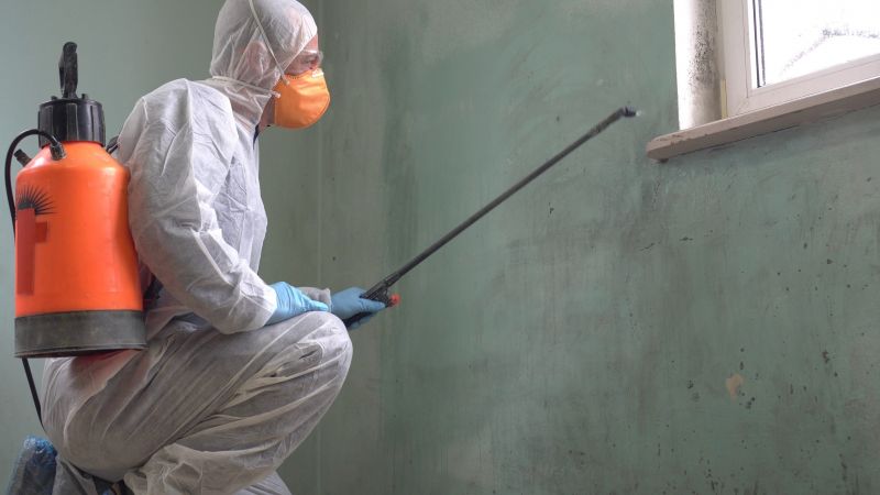 Mold Abatement in West Palm Beach, FL