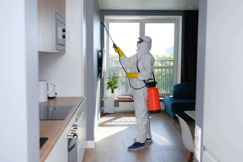 Mold Abatement Service in Frisco, TX