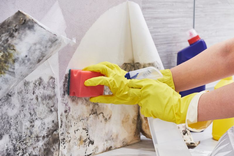 Mold Removal in Essex County, NJ