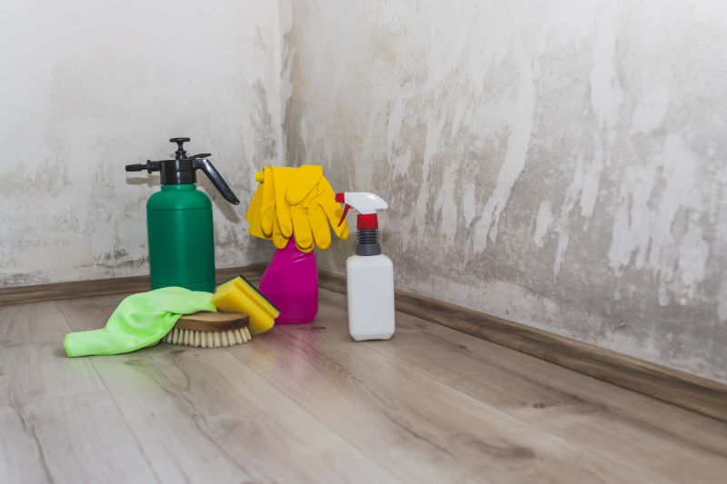 Mold Restoration in Essex County, NJ