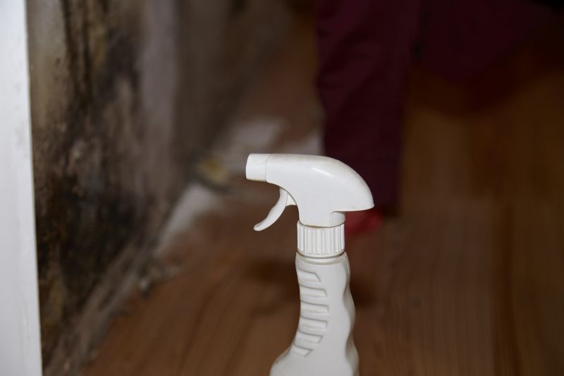 Mold Restoration in Essex County, NJ