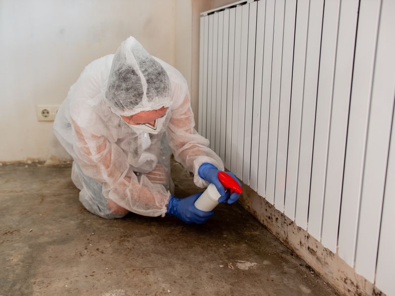 Mold Restoration in Fort Worth, TX
