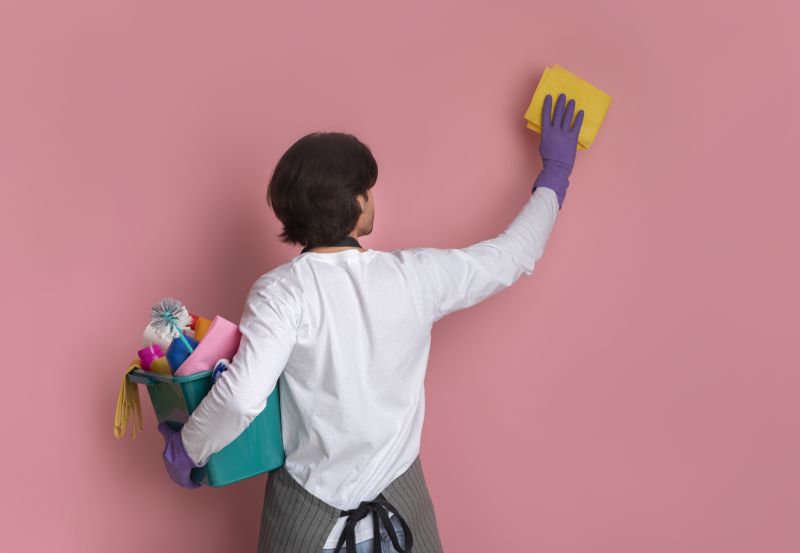 Wall Cleaning Service