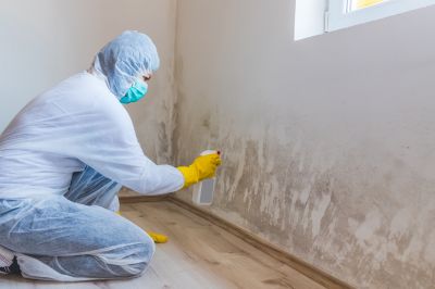 White Mold Mitigation in Fort Lauderdale, FL