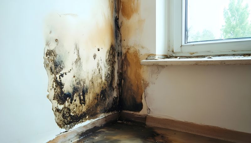 White Mold Mitigation in Essex County, NJ