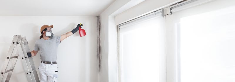 White Mold Mitigation in Fort Worth, TX