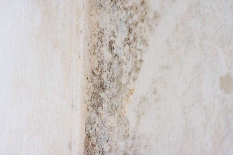 White Mold Mitigation in Jupiter, FL