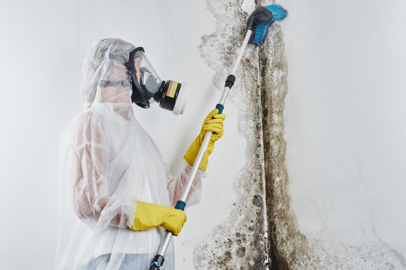 White Mold Mitigation in Jupiter, FL